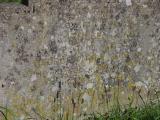 image of grave number 834284